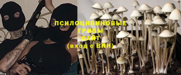 стафф Алзамай