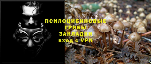 марки lsd Алексеевка